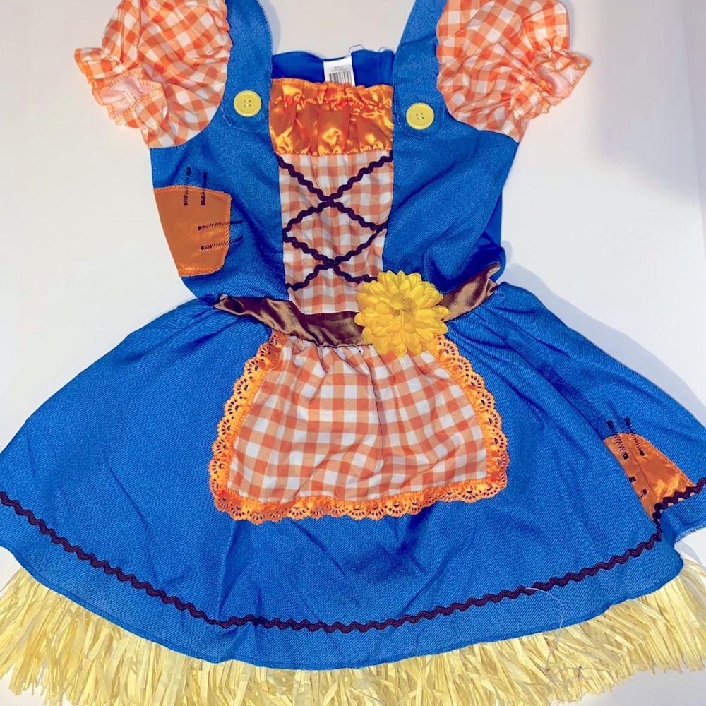 Scarecrow costume for girls, Size M 8-10